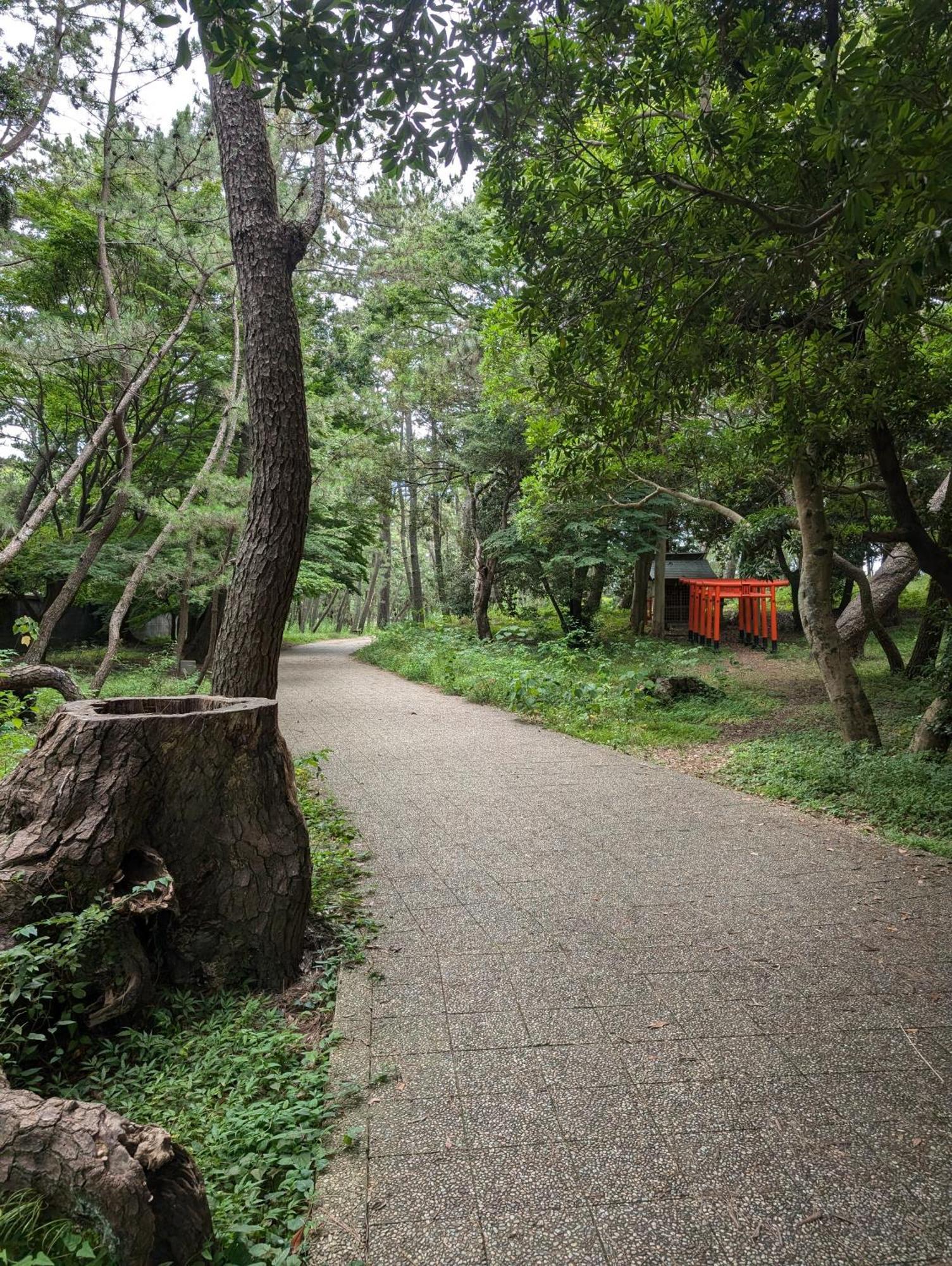 Private In Togo And Park Side House *